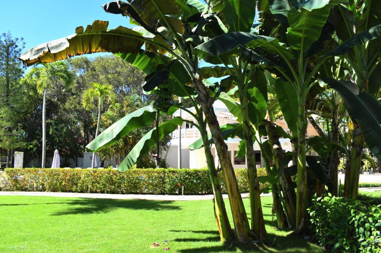 Tropical Casa Laguna Кабарете Экстерьер фото